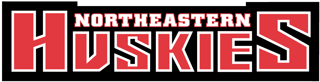 Northeastern Huskies 2001-Pres Wordmark Logo iron on transfers for clothing
